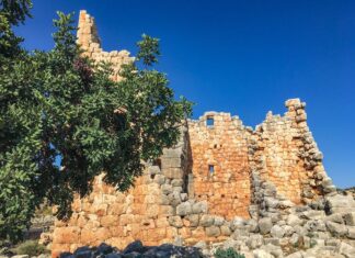 Julia Cahill`s Curse part 5