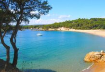 The Troubled Reign of Milan and the Rise of Alexander