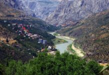 Warlike Engines and Instruments of Defence